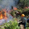 More than 8 mln USD given to fund forest fire control