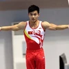 Vietnamese gymnasts to compete for ticket to Rio