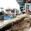 Severe erosion along Ca Mau coastline