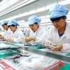Vietnam rises in business ease world ranking 