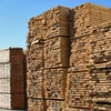 Chile plans timber exports to Vietnam 