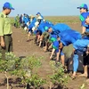 Ben Tre to plant submerged forests