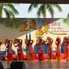 Vietnam attends ethnic cultural event in Hong Kong 