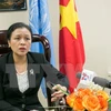 Vietnam supports UN peacekeeping efforts 