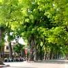 Hanoi works towards green city