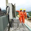 Electricity of Vietnam sells stakes in companies 