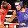 Vietnam wins gold at international boxing tournament 