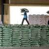 First batch of rice to arrive in Indonesia next year