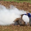 State-owned farm to export straw to Japan