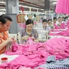 ILO ready to support Vietnam to fine-tune labour-related regulations