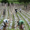 Few technologies applied in agriculture