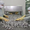 Yearly shrimp export could drop by 1 billion USD