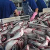US Senators move to nullify new catfish inspection rules 