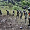 Vietnam, China join hands in mine clearance along border 
