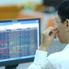 Vietnamese shares decline for second day 