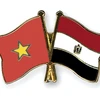 Vietnamese Ambassador presents credentials to Egyptian President 