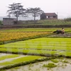 Agricultural sector seeks stronger international cooperation
