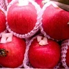 Japanese apples re-enter Vietnamese market 
