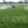 Project destroys Vietnam’s pesticide stockpiles