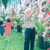 Floral fairs colour HCM City for Tet 