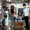 Noi Bai Airport strengthens customs checks before Tet