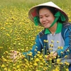 Tour of flower fields launched in Dong Thap