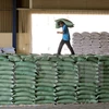 Mekong Delta set to earn over 14 bln USD from exports