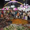 HCM City celebrates Tet with special art performances 