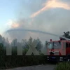 Wildfire at Hoang Lien National Park successfully controlled 