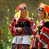Spring festivals of ethnic minority groups 