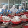 Vietnam's PMI declines in February