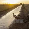 Vietnam works with Mekong river countries on water use