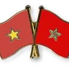 Vietnam, Morocco beef up legislative ties 