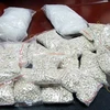 Border soldiers hailed for smashing two Laos–Vietnam drug rings 