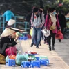 HCM City pilots street vending 