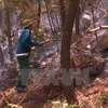 Forest fire warning on high level in many localities
