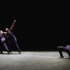 Contest to seek dancers for Compagnie par Terre’s show