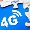 4G licence to be granted this year: official