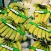 Vietnamese bananas on Japan’s supermarket shelves