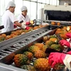 Fruit exports likely to reach over 2 billion USD