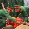 Volunteer soldiers’ remains laid to rest in Ha Tinh