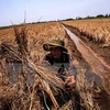 Drought causes 400 mln USD losses