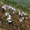 Honda plants 80 hectares of forest in Bac Kan 