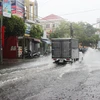 Dong Nai enjoys first widespread rain since last November