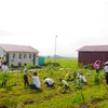 Activities staged for a greener Vietnam