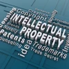 IP rights must be ensured: official 