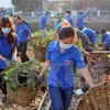 Action month for environment protection launched