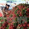 Fruit export surges in first five months