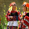 Mong Ethnic Cultural Day lures foreign visitors 