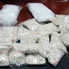 Cambodia, Myanmar destroy large volume of drugs